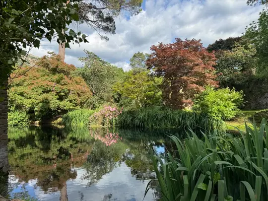 Una giornata con i pazienti tra i Giardini di Ninfa