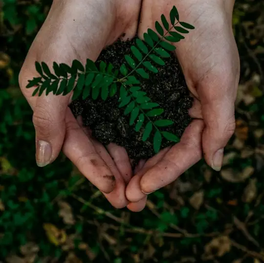Diaverum at the forefront of sustainable kidney care